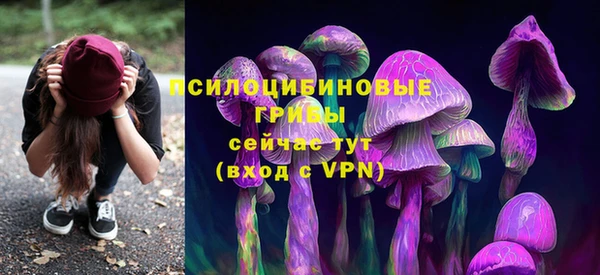 метадон Белокуриха