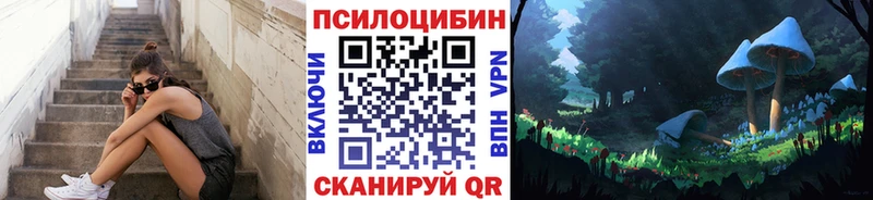 Псилоцибиновые грибы Magic Shrooms  hydra как зайти  Козьмодемьянск 