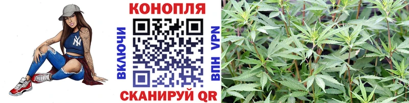 Канабис THC 21%  МЕГА вход  даркнет как зайти  Козьмодемьянск 